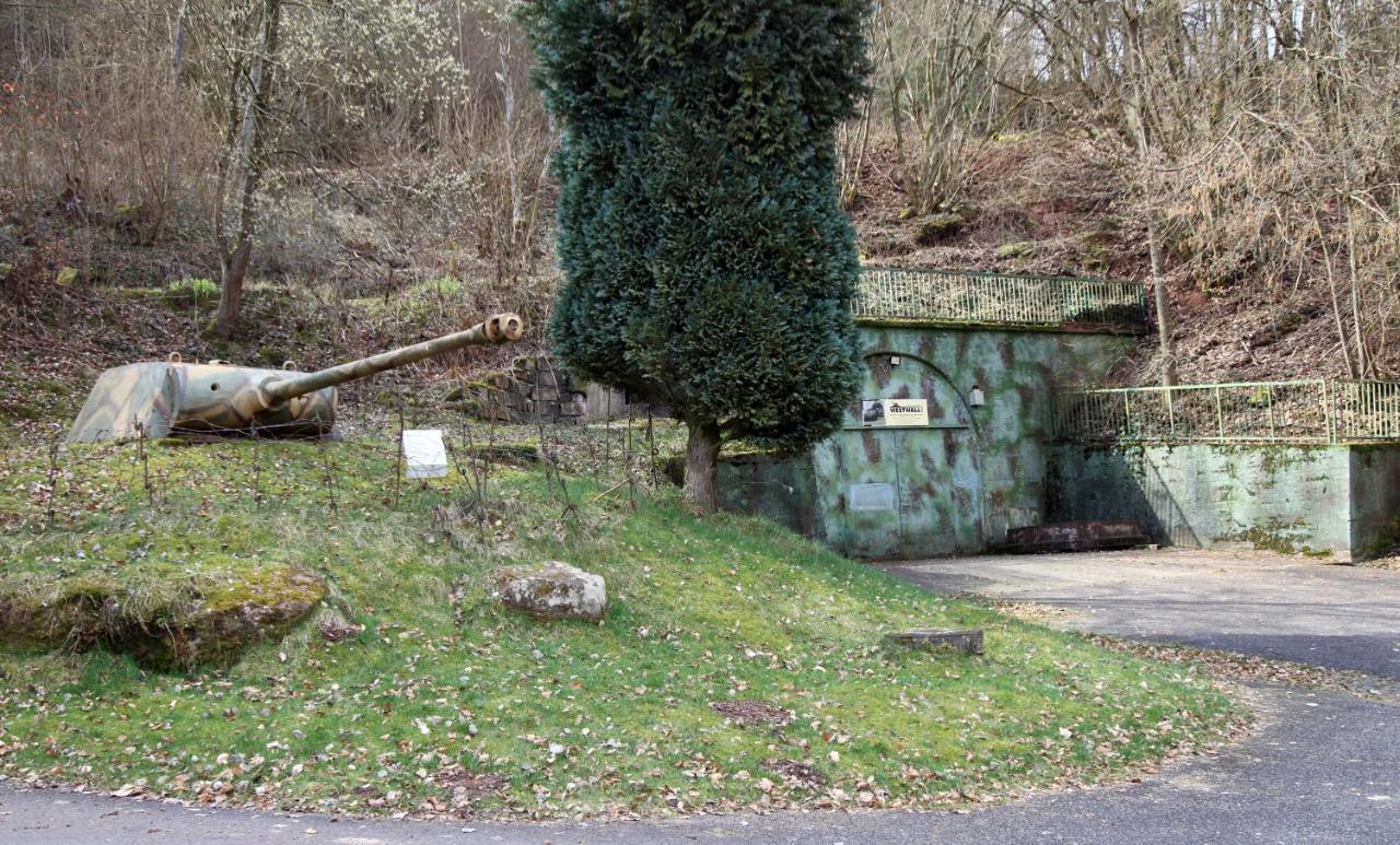 Fewo Pfaelzer Felsenlandschaft ピルマゼンス エクステリア 写真